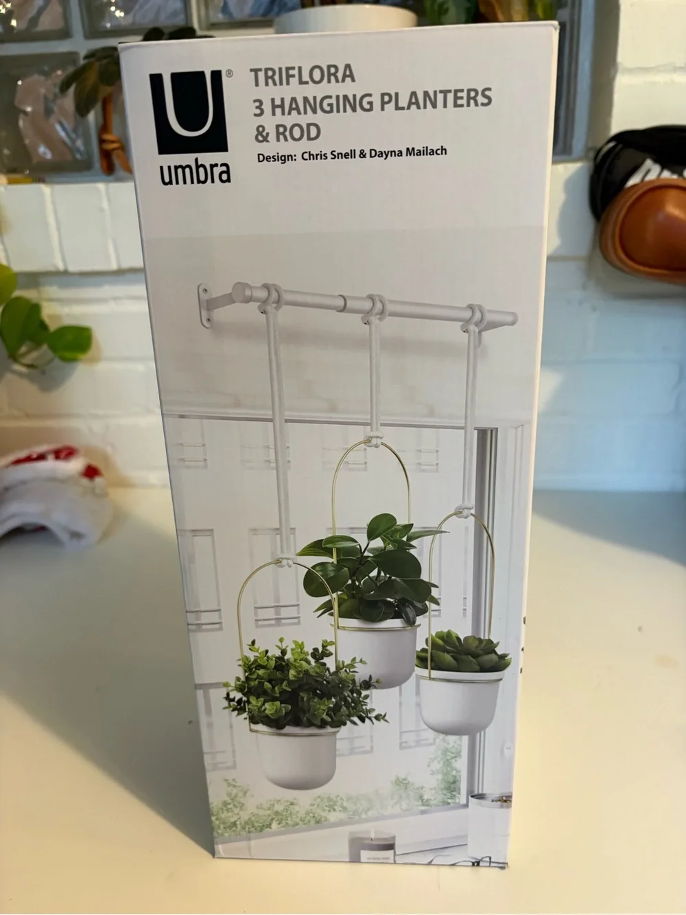 Umbra White Ceramic Hanging Planter Trio with Gold Metal Stands